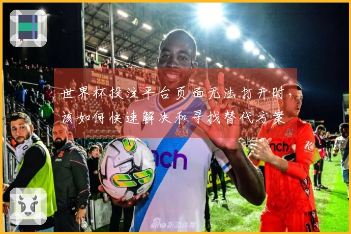 世界杯投注平台页面无法打开时，该如何快速解决和寻找替代方案