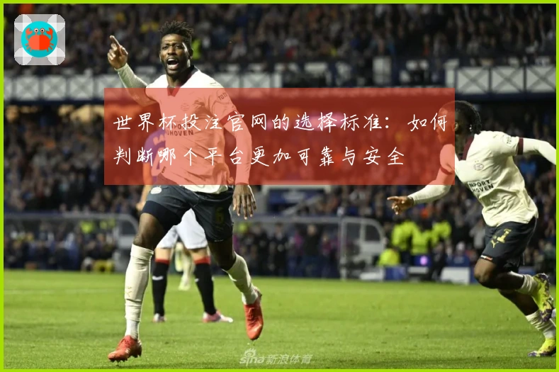 世界杯投注官网的选择标准：如何判断哪个平台更加可靠与安全