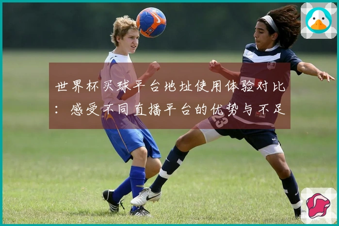 世界杯买球平台地址使用体验对比：感受不同直播平台的优势与不足