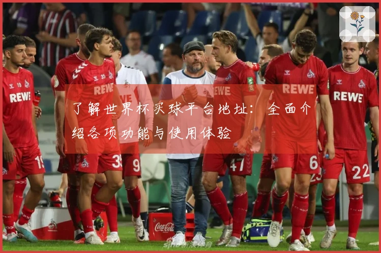 了解世界杯买球平台地址：全面介绍各项功能与使用体验