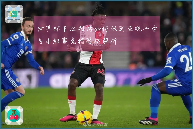 世界杯下注网站如何识别正规平台与小组赛竞猜思路解析
