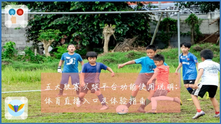 五大联赛买球平台功能使用说明：体育直播入口及体验指南