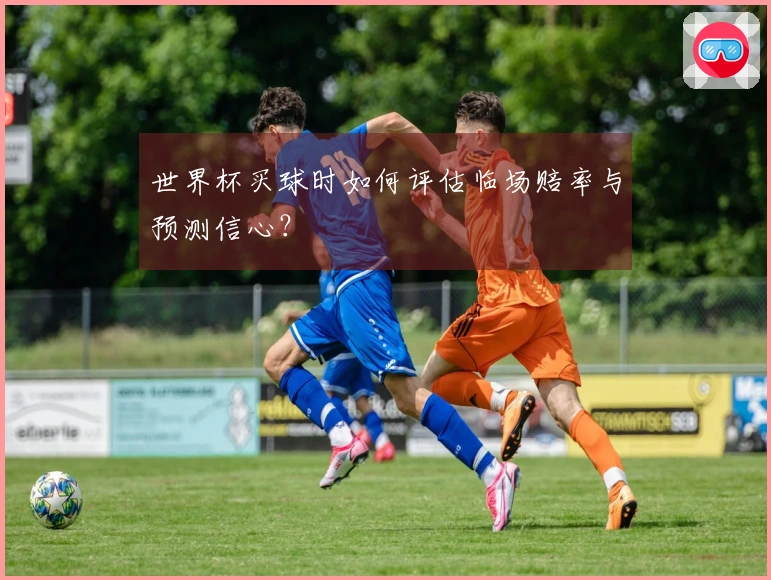 世界杯买球时如何评估临场赔率与预测信心？
