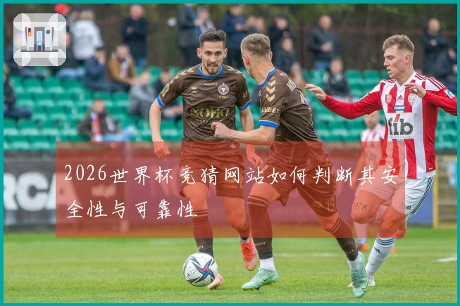 2026世界杯竞猜网站如何判断其安全性与可靠性