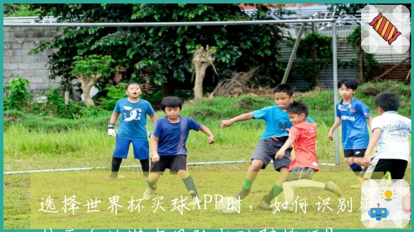 选择世界杯买球APP时，如何识别海外平台的潜在风险与防骗技巧？